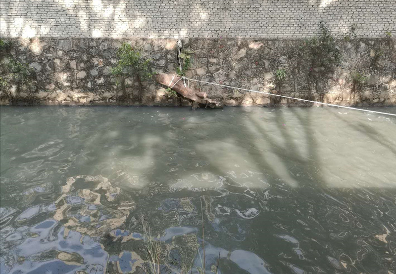 順德灝景灣河涌水質(zhì)應(yīng)急處理治理