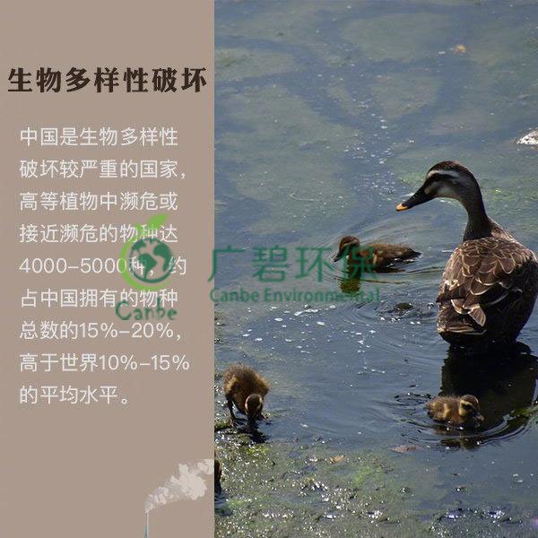 世界地球日 我們能為地球做些什么？(圖6)