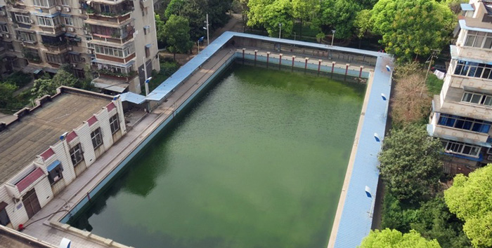 游泳池水變綠是什么原因？游泳池水處理方法