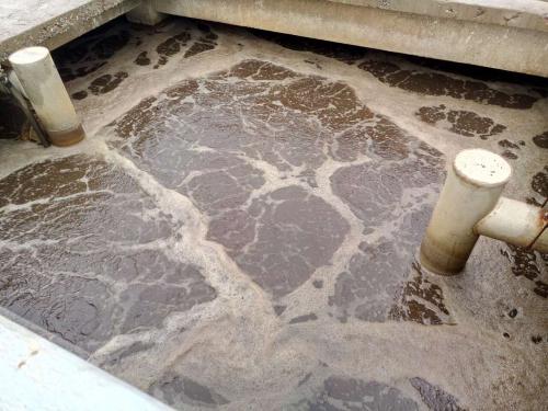 什么是制革廢水？制革廢水特點與處理工藝