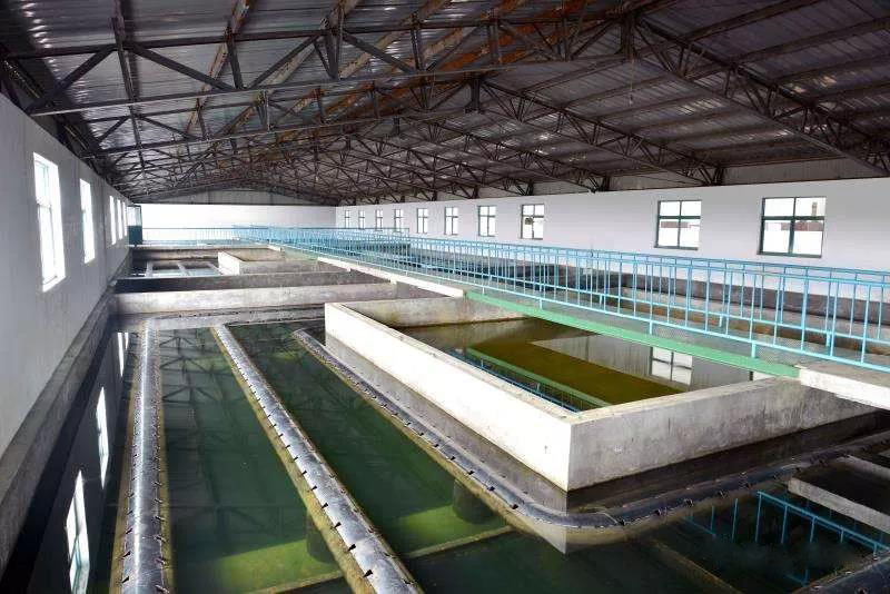 什么是制糖廢水？制糖廢水處理技術(shù)