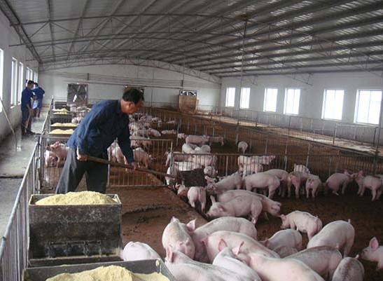 什么是養(yǎng)殖廢水？養(yǎng)殖廢水處理工藝