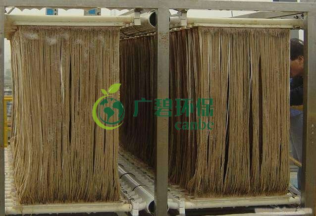 MBR膜如何選型？膜組件如何清洗？MBR知識(shí)分享(圖1)