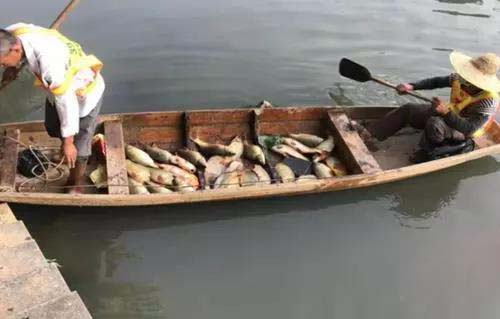 廣州旺旺食品廢水直排，永和河大量魚類死亡