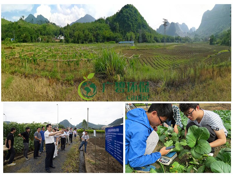 佛山市龍江鎮(zhèn)農(nóng)田重金屬土壤修復(fù)項(xiàng)目案例(圖1)