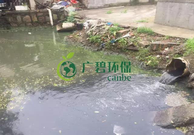 佛山南海黑臭河道生物治理案例(圖2)