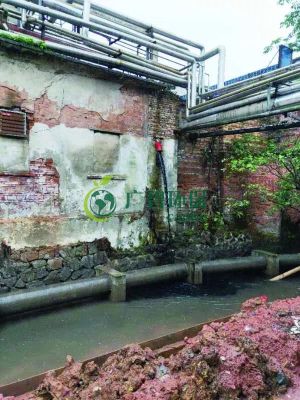 廣州海珠有污水直排河涌，3名涉案人員被行政拘留(圖1)