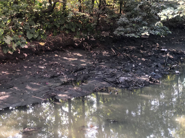 總結(jié)河道治理誤區(qū)，道明今后治理方向