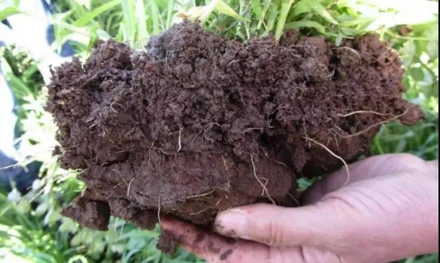 土壤侵蝕是什么？什么導致了土壤侵蝕？