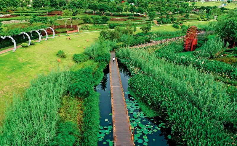 部分黑臭水體出現(xiàn)反彈，治理難在哪兒？(圖1)