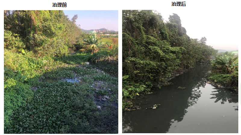 金陡涌水系黑臭水體綜合治理工程(圖2)