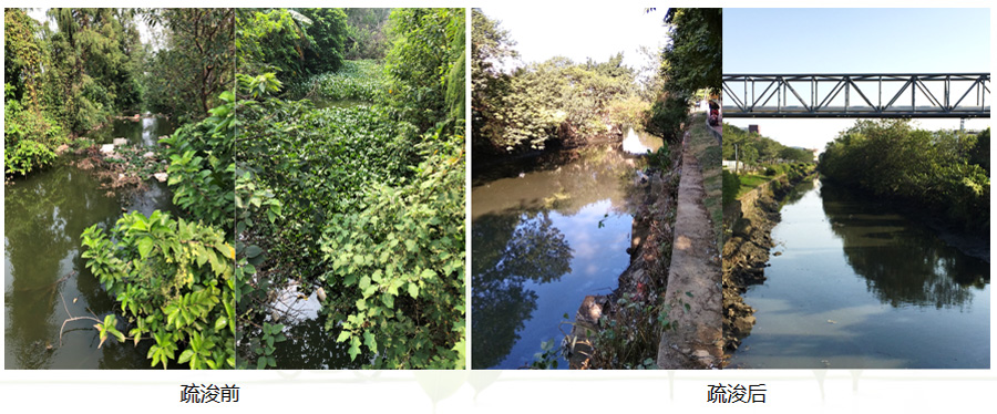 金陡涌水系黑臭水體綜合治理工程(圖3)