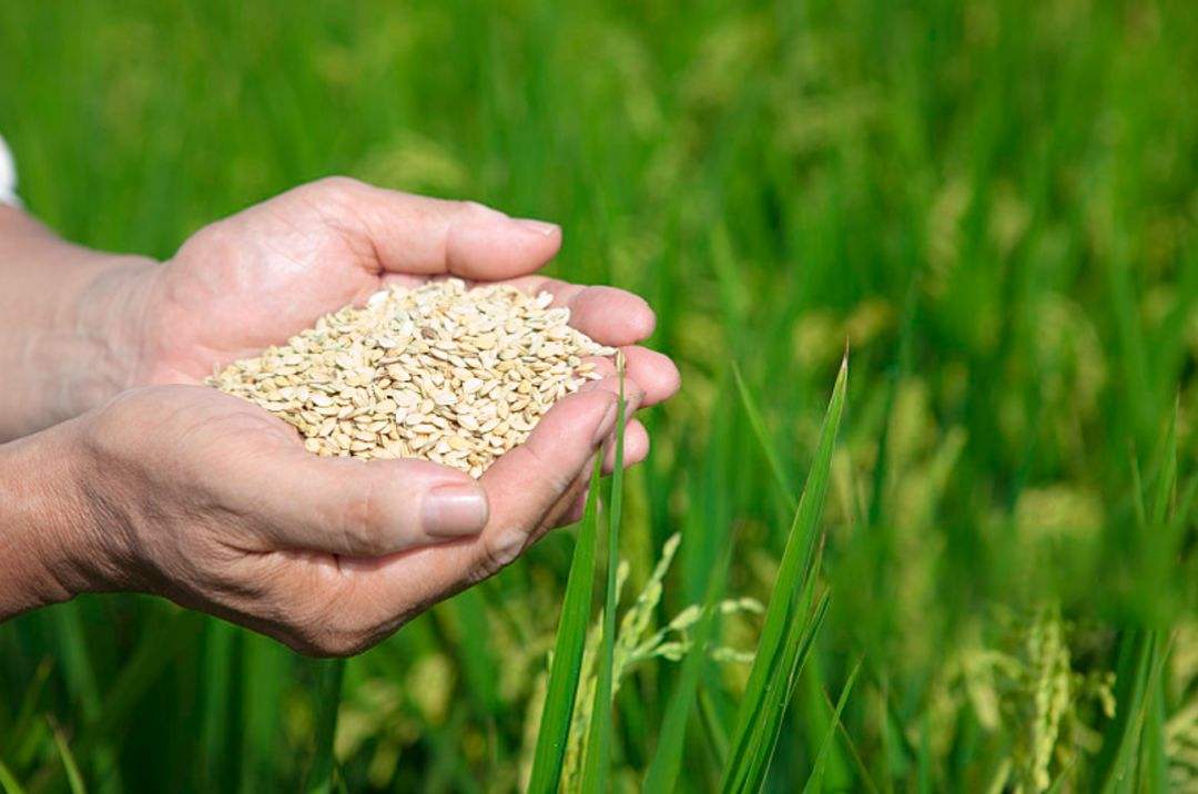 土壤修復市場，該火了！(圖3)