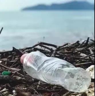 世界地球日|珍愛(ài)地球，人與自然和諧共生(圖8)