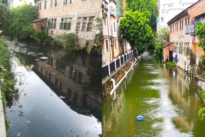 順德大良石洛涌、八坊涌整治見成效(圖2)