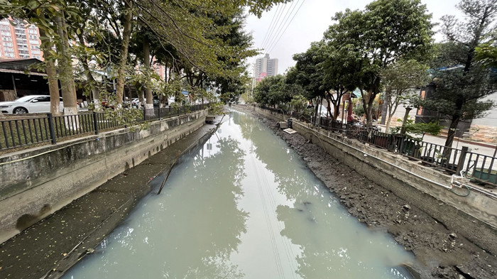 順德大良石洛涌、八坊涌整治見成效(圖3)